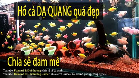 Hồ cá cánh buồm dạ quang quá đẹp - quá đã - chia sẻ đam mê hồ cộng đồng ...