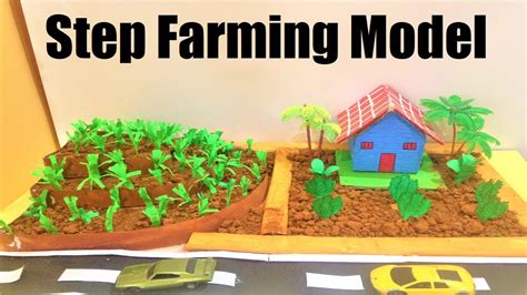 step farming model making project | DIY | science project | howtofunda | agriculture model - YouTube