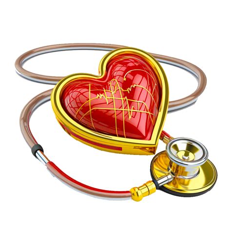 Stethoscope Heart PNG transparent 22984739 PNG