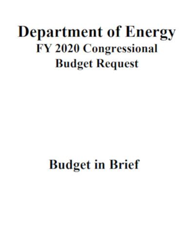 Department Budget - 21+ Examples, Format, Pdf