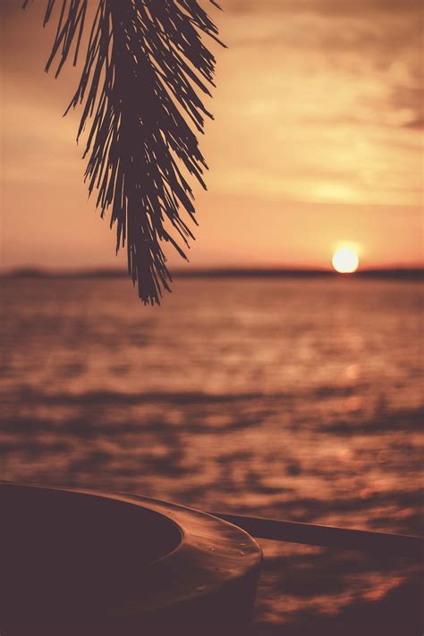 500+ Stunning Tropical Sunset Pictures [HD] | Download Free Images on Unsplash