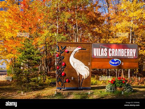 The Vilas Cranberry bog farm sign near Manitowish Waters, Wisconsin ...