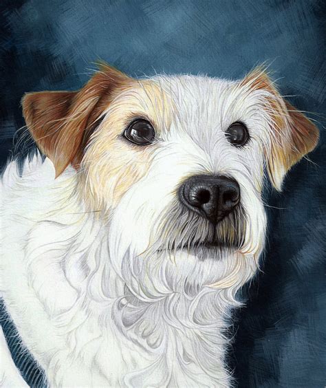 Pet Portraits | Etsy