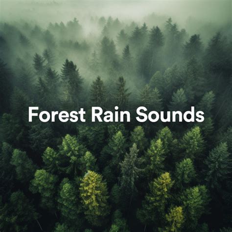 Stream Tropical Rainforest Sounds by Nature Sounds | Listen online for ...