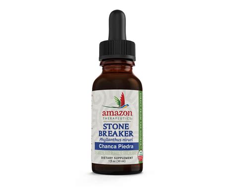 Stone Breaker (Chanca Piedra) Liquid Extract (1 oz) - Herbs America, Inc.