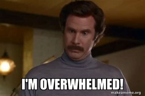 I'm Overwhelmed! - Ron Burgundy I am not even mad or That's amazing (Anchorman) Meme Generator