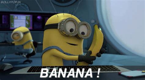 despicable me new follower gif | WiffleGif