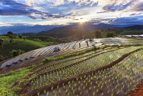 Rice terraces of Chiang Mai, Thailand | Connecting Friends