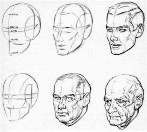 How to Draw Aging Faces and Hands and Where to Draw Wrinkles on the Head and Face - How to Draw ...