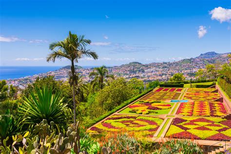 Discovering the Islands of The Madeira Archipelago