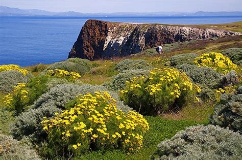 Channel Islands National Park | Ventura Harbor