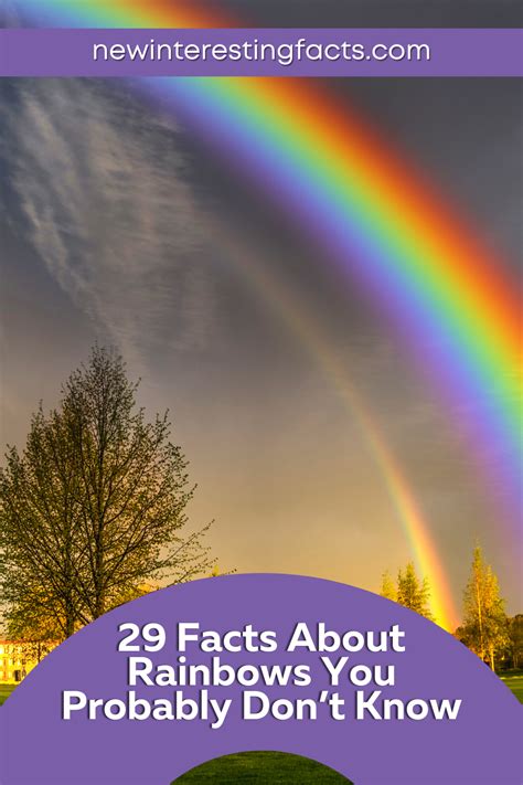 29 Facts About Rainbows You Probably Don't Know | Rainbow facts ...