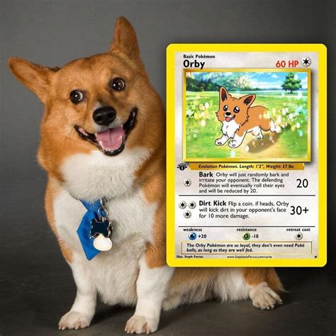 Pets become Pokemon Cards due to artist's imagination