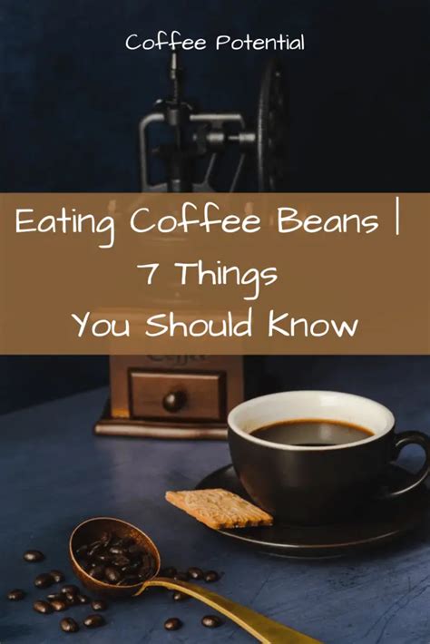 Eating Coffee Beans | 7 Things You Should Know