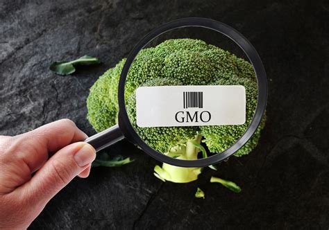 Bill Gates, WEF push GMO foods | NaturalHealth365