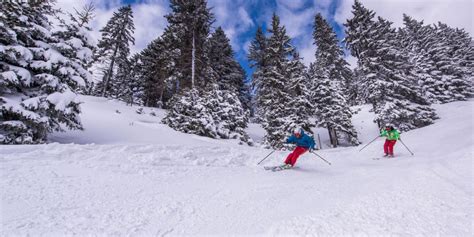 Skiing | I feel Slovenia