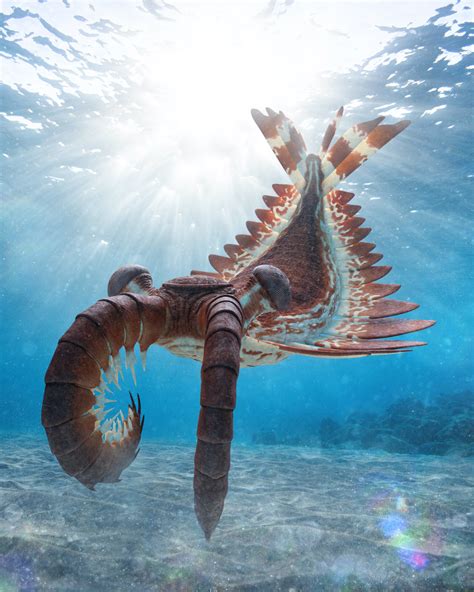 ArtStation - Anomalocaris