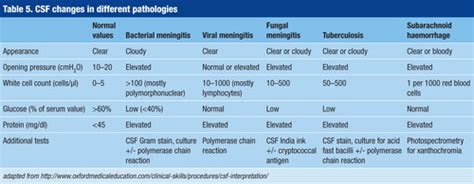 Lumbar Puncture Meningitis