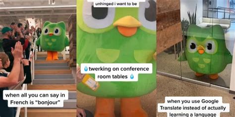 Duolingo S Mascot Becomes A Tiktok Icon With Hilarious Viral Videos And ...