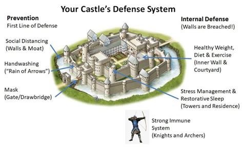 Your Castle’s Defense System Against COVID-19 | Fay's Fitness, Inc.