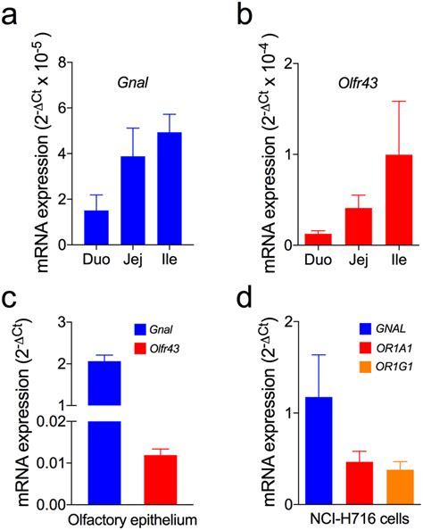 Olfactory receptor expression in enteroendocrine L cells. The Taqman ...