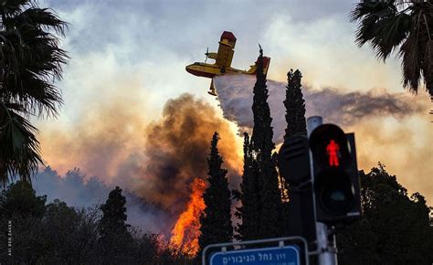 The Most Devastating Fires in Israel - Discover Walks Blog