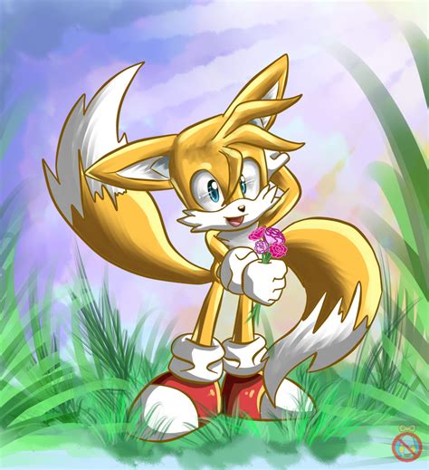 CE: Tails the fox by shadowhatesomochao on DeviantArt