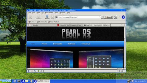 Pearl Linux OS 4.0 Free Download - ALL PC World