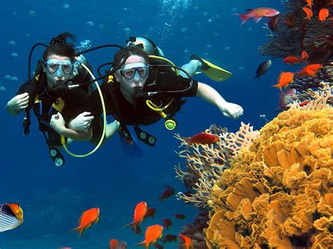 Red Sea Scuba Diving on a Budget: Tips & Tricks | Diving in Hurghada