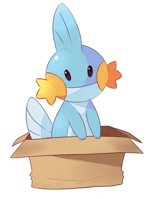 Mudkip in a box. | Cute pokemon, Mudkip, Pokemon