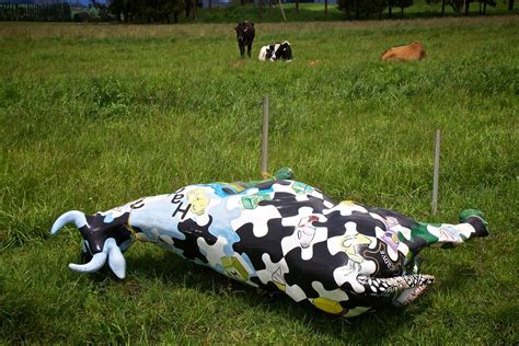 Puzzling Cow Tipping | The curious case of the tipped cow. L… | Flickr