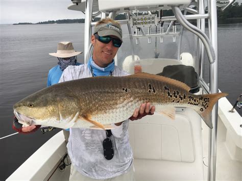 Neuse River Redfish Guides - Eastern NC Fishing Guide