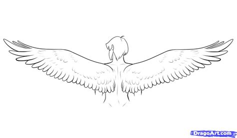 Free Wings Drawing, Download Free Wings Drawing png images, Free ...