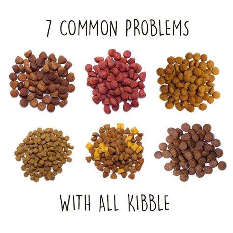 7 Common Problems with All Types of Kibble