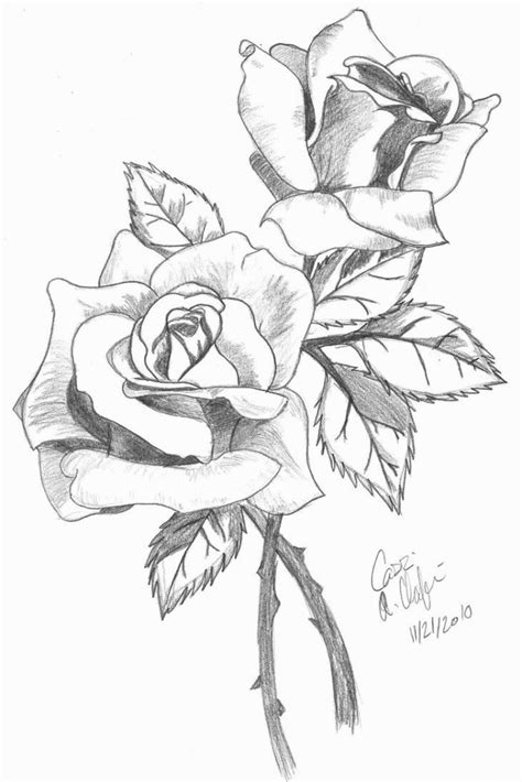 Pencil Sketch Of Rose Flower at PaintingValley.com | Explore collection of Pencil Sketch Of Rose ...