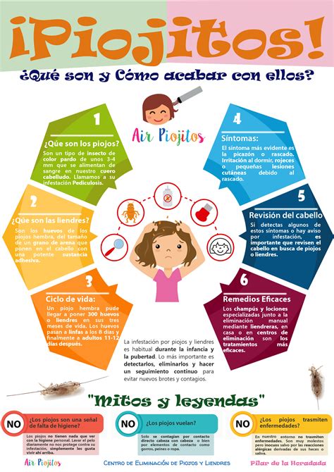 Resultado de imagen para pediculosis folleto | Pediculosis, Folletos ...