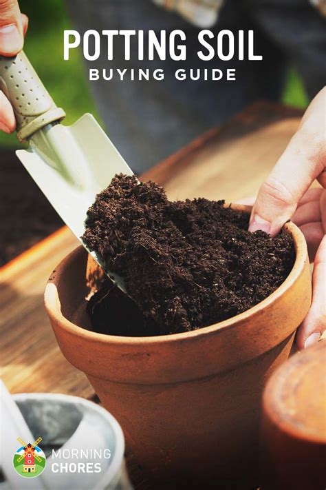 Best Potting Soil - Buying Guide & Recommendation