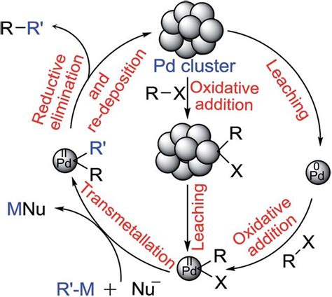 Proposed mechanism for the Pd catalyzed cross-coupling reaction... | Download Scientific Diagram