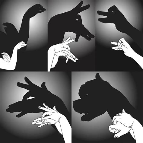 Cool trick! How to get into making shadow puppets | CBC Life