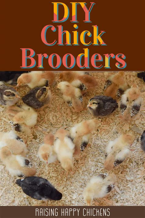 How to make a DIY brooder box for new and growing chicks.