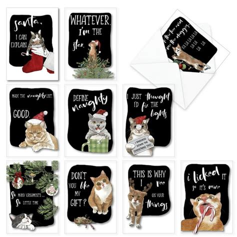 10 Hilarious Cat Christmas Cards - Boxed Assortment of Holiday ...