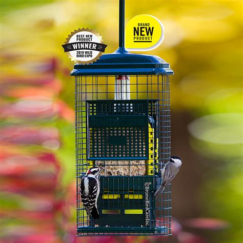 Squirrel buster bird feeder - systemladeg