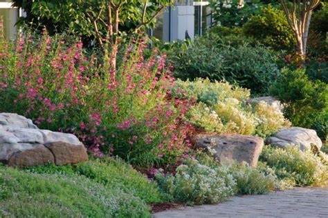 Create a Rock Garden: Tips for Success | HGTV