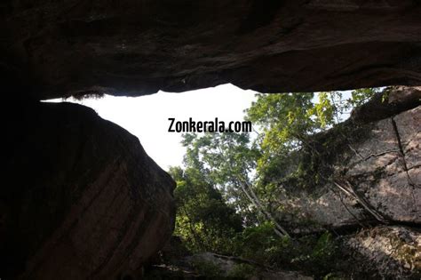 Trees from inside edakkal caves 268