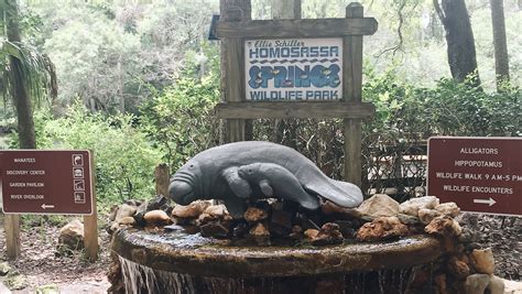 Homosassa Springs Wildlife State Park - Florida Lives