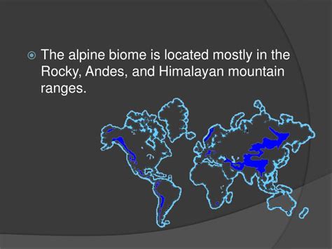 PPT - Alpine biome PowerPoint Presentation - ID:2277908