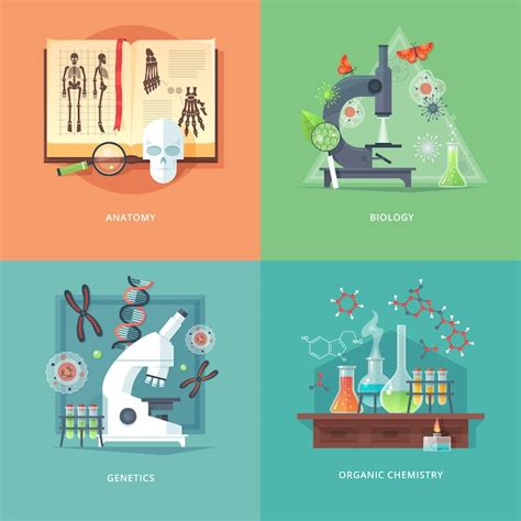 Premium Vector | Education and science concept illustrations. anatomy ...