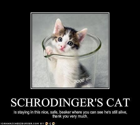 [Image - 344690] | Schrodinger's Cat | Know Your Meme