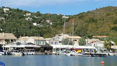 the boats are docked in the harbor near the houses on the hill side, with trees lining the ...