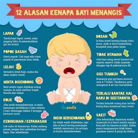 Gambar Bayi 7 Bulan Dalam Kandungan